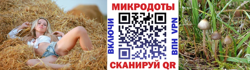 Псилоцибиновые грибы Magic Shrooms  сайты даркнета формула  Йошкар-Ола 