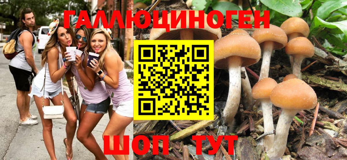 Галлюциногенные грибы MAGIC MUSHROOMS  Вход с VPN  Йошкар-Ола 